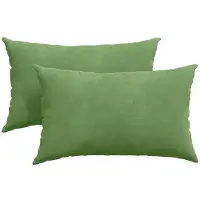 vidaXL Zitkussens 2 pcs Lichtgroen 50 x 30 cm Corduroy stof