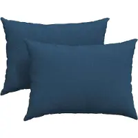 vidaXL Zitkussens 2 pcs Stof Blauw 70 x 50 cm