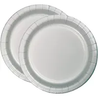 Haza 72x Kartonnen bordjes zilver 23 cm - Wegwerpborden van karton - Feestbordjes - Feestartikelen tafeldecoratie