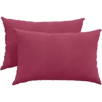 vidaXL Zitkussens 2 pcs Wijnrood 60 x 40 cm Corduroy stof