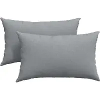 vidaXL Zitkussens 2 pcs Stof Lichtgrijs 50 x 30 cm