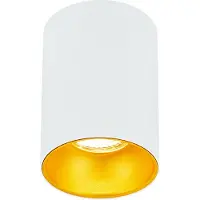 EDO Opbouwspot GU10 rond incl. fitting (Wit/Goud, 11cm hoog)