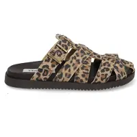 Steve madden Mamba leopard (37-4)