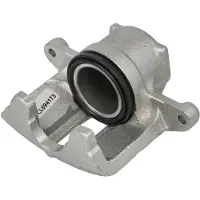 FERODO FCL694173 Remklauw