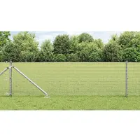 vidaXL gelast draadhek met grondpennen 10 x 0,8 m Gegalvaniseerd staal