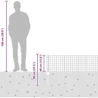 vidaXL Euro-hek met palen 25 x 0,4 m Gegalvaniseerd staal Mesh