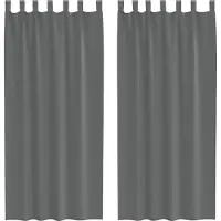 vidaXL Gordijnen voile met lussen 2 st 140x225 cm donkergrijs