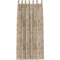 vidaXL Velvet Gordijnen 2 st champagne 260 x 140 cm Fluweel