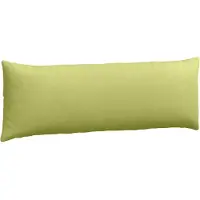 vidaXL Zitkussens 2 pcs Stof Lichtgroen 120 x 40 cm