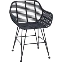 vidaXL Eetkamerstoel 2 st Riet en Ijzer Zwart 55 x 50 x 74 cm