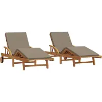 vidaXL Ligstoel 2 st Massief Acacia Hout Taupe