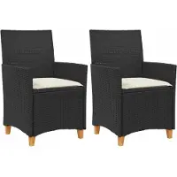 vidaXL Tuinstoelen 2 st met kussens poly rattan en massief hout zwart