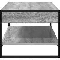 vidaXL Salontafel, grijze Sonoma-kleur, 80 x 50 x 40 cm, houtvezel