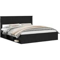 vidaXL Bedframe Effen met opslag Zwart 200 x 200 cm Massief grenenhout