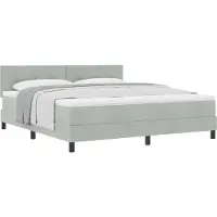 vidaXL Boxspring bed met hoofdeinde Lichtgrijs 180 x 200 cm Fluweel