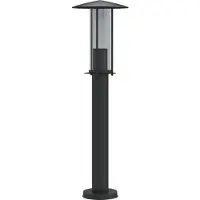 vidaXL Vloerlamp voor buiten 60 cm roestvrij staal zwart