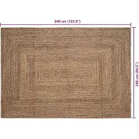 vidaXL Vloerkleden Naturel en Zwart 240 x 340 cm Jute