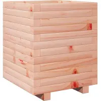 vidaXL Plantenbak 40x40x49,5 cm massief douglashout