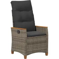 vidaXL Ligstoel voor Tuin Grijs en Donkergrijs 64 x 57,5 x 112 cm