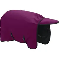 vidaXL Paardendeken Volledig paars 125 cm Polyester