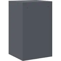 vidaXL Bestandkast Antraciet 45,5 x 42 x 74,5 cm Koudgewalst Staal