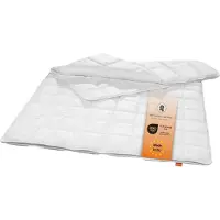 Sleepling antibacterieel anti-mijt dekbed 135 x 200 cm | 4-seizoenen dekbedovertrek (vulgewicht: 410 + 840 gr.) | Made in EU | Antibacterieel | Ökotex 100 | wit
