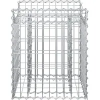 vidaXL Gabion verhoogd bed 50 x 50 x 60 cm Gegalvaniseerd staal zilver