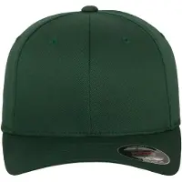 Flexfit Pet groen / donkergroen