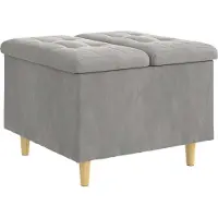 vidaXL Opslagottoman met kussen Lichtgrijs 60 x 60 x 45 cm Fluweel