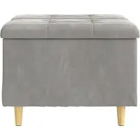 vidaXL Ottoman met opbergruimte, lichtgrijs, 60 x 60 x 45 cm, fluweel