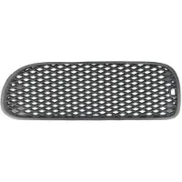 BLIC 9999-43-003941P Ventilatiegrille, bumper
