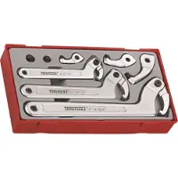 Teng Tools TTHP08 Haak-/pinsleutelset in tray