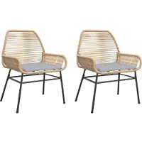 vidaXL Tuinstoelen 2 st met kussens poly rattan bruin