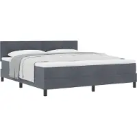 vidaXL Boxspringbed met hoofdeinde, donkergrijs, 180 x 200 cm, fluweel