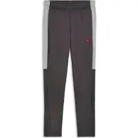 Puma LIGA Training Pant