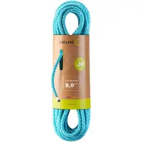 Edelrid - Klimtouwen - Guide Assist Eco Dry 8,0 Mm II Icemint voor Unisex - Maat 40 m - Blauw