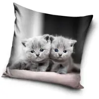 Procos Twins decoratieve kussenhoes 40x40 cm Velvet