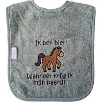 Funnies Groene (stone green) slab met "Ik ben hier! Wanneer krijg ik mijn paard?" - paardrijden, manege, paardje, paarden, bavet, bib