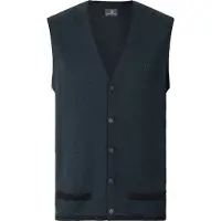 Jan Vanderstorm Comfort Fit Gebreid vest groen, Veelkleurig