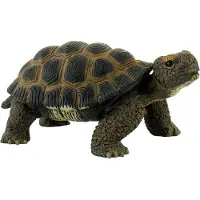 BULLYLAND Schildpad