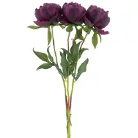 Erutan avon Paeony Marlie bundle a 3 pcs aubergine 63 cm kunstbloem