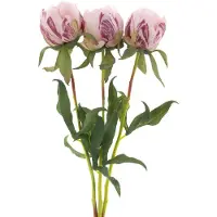 Erutan avon Paeony Marlie bundle a 3 pcs pink 48 cm kunstbloem