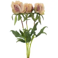 Erutan avon Paeony Marlie bundle a 3 pcs peach 48 cm kunstbloem