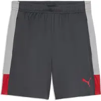 Puma Individualliga Shorts Zwart M Man