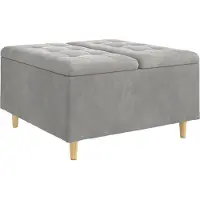 vidaXL Ottoman met opslag Lichtgrijs 80 x 80 x 45 cm Fluweel
