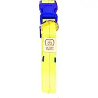 Duvo+ Halsband Nylon Flash Leucht USB