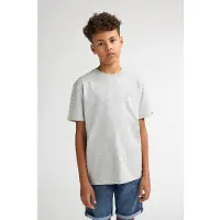 Petrol Industries gestreepte T-shirt lichtgrijs Jongens Katoen Ronde hals - maat 176