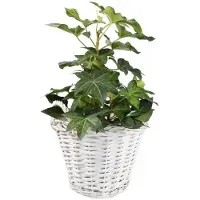 KOTARBAU Plantenmand, Gevlochten Wilg, ⌀ 23 cm, Grijs, Rieten Mand Rond, met Handvatten, Mand voor Planten, Rieten Bloempot, Gevlochten Plantenmand- Rustiek Design