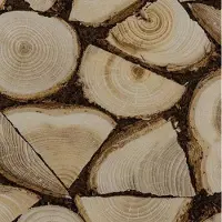 Rasch 130359 Wood Vliesbehang – Openhaardhout Houtlook – Bruin Naturel – 10m x 53cm