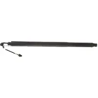 TRISCAN 8710 29313 Gasveer achterklep